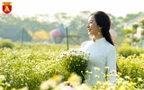 Ngẩn ngơ ngắm hoa khôi sinh viên Hà Nội khoe sắc bên cúc họa mi